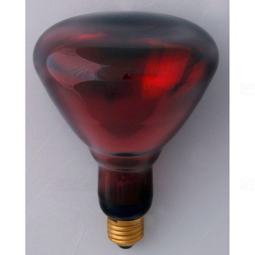 INFRA 230V/250W rubin HELIOS IR-1 R125 RB E27 MS CERVENA 5000h